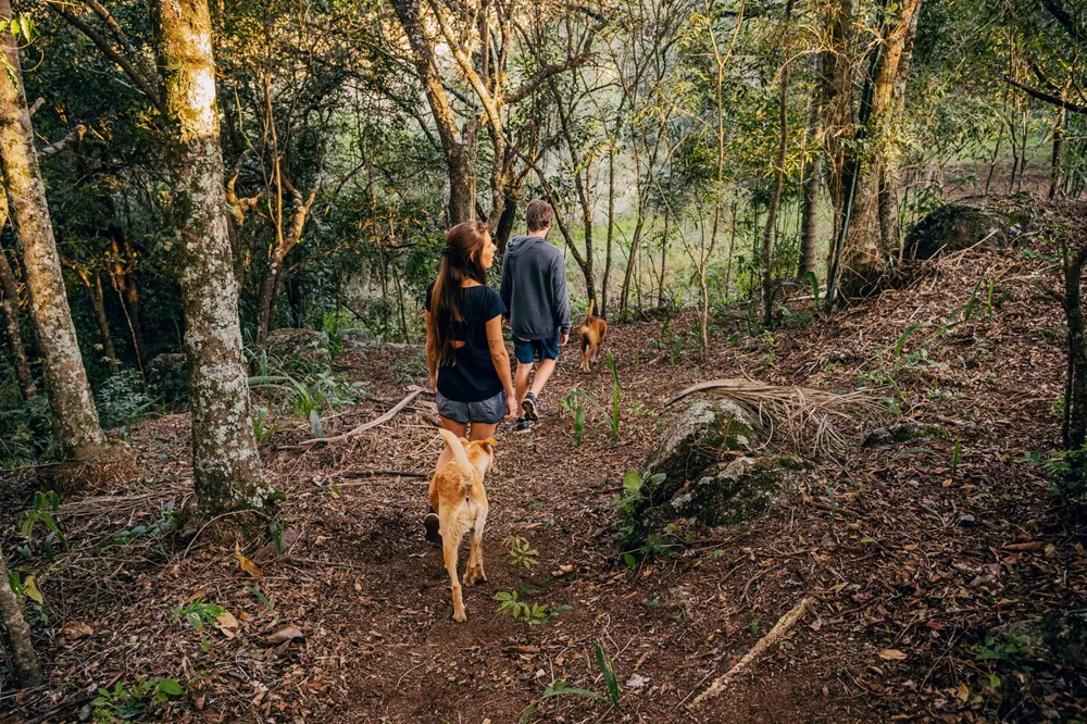 Casal caminhando com um cachorro numa trilha da mata